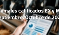 Animales calificados EX y MB en septiembre y octubre de 2025