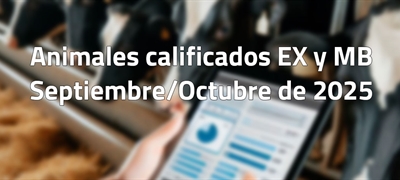 Animales calificados EX y MB en septiembre y octubre de 2025