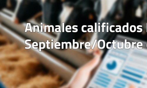 Animales calificados EX y MB en septiembre y octubre de 2025