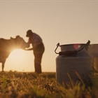 Asturias concede 217.000 euros en ayudas para asesoramiento a 873 ganaderas del sector lcteo