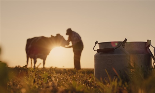Asturias concede 217.000 euros en ayudas para asesoramiento a 873...