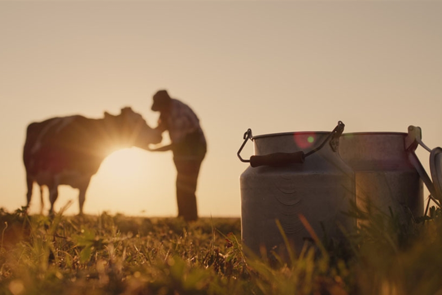 Asturias concede 217.000 euros en ayudas para asesoramiento a 873...