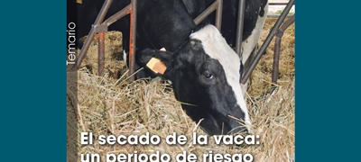 El secado de la vaca: un periodo de riesgo