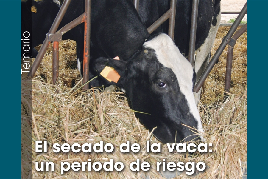 El secado de la vaca: un periodo de riesgo