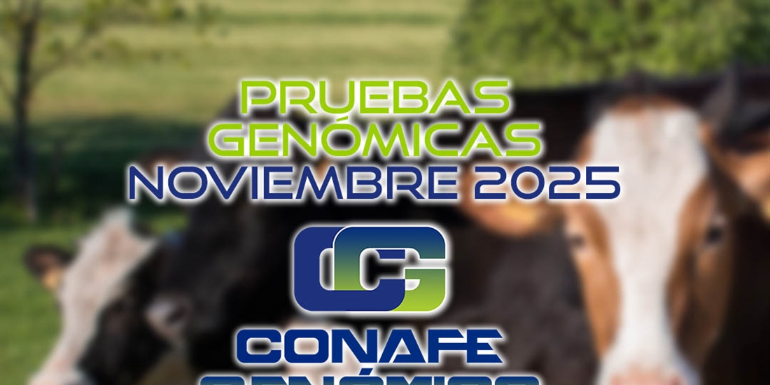 Actualizacin de las pruebas genmicas de Hembras CONAFE noviembre 2025