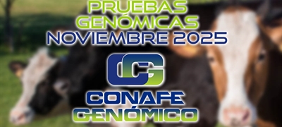 Actualizacin de las pruebas genmicas de Hembras CONAFE noviembre 2025