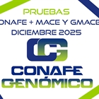 Nuevas pruebas genticas CONAFE de vacuno de raza frisona + MACE y GMACE de diciembre 2025
