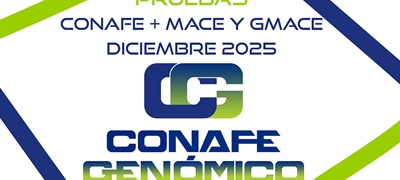 Nuevas pruebas gen�ticas CONAFE de vacuno de raza frisona + MACE y GMACE de diciembre 2025