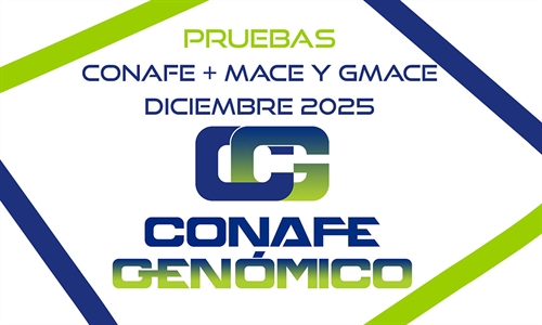 Nuevas pruebas gen�ticas CONAFE de vacuno de raza frisona + MACE y...
