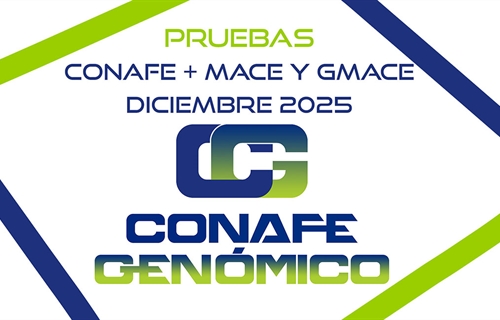 Nuevas pruebas genticas CONAFE de vacuno de raza frisona + MACE y...