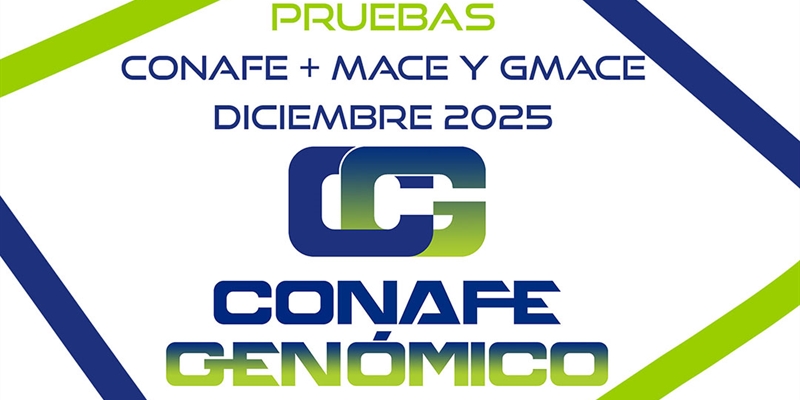 Nuevas pruebas genticas CONAFE de vacuno de raza frisona + MACE y GMACE de diciembre 2025