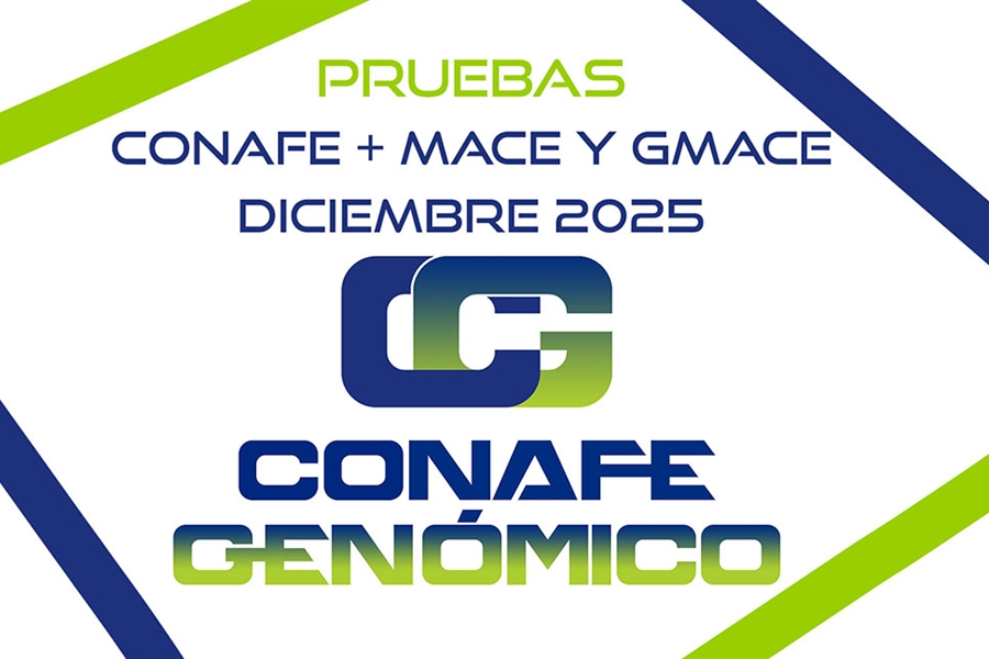 Nuevas pruebas genticas CONAFE de vacuno de raza frisona + MACE y...