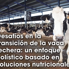 Desafos en la transicin de la vaca lechera: un enfoque holstico basado en soluciones nutricionales