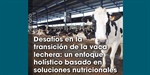 Desaf�os en la transici�n de la vaca lechera: un enfoque hol�stico basado en soluciones nutricionales