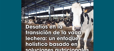 Desafos en la transicin de la vaca lechera: un enfoque holstico basado en soluciones nutricionales
