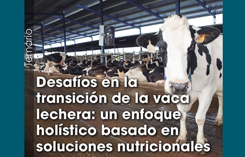 Desaf�os en la transici�n de la vaca lechera: un enfoque hol�stico...