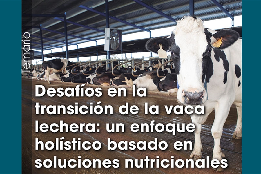 Desafos en la transicin de la vaca lechera: un enfoque holstico...