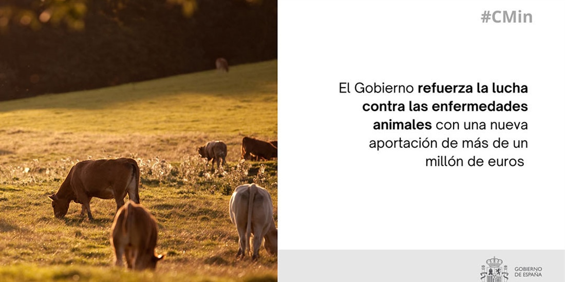 El Gobierno refuerza con 1,2 millones la lucha contra la dermatosis...