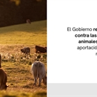 El Gobierno refuerza con 1,2 millones la lucha contra la dermatosis nodular contagiosa y la gripe aviar en Espaa