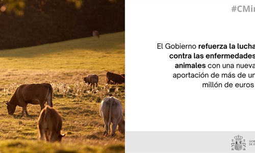 El Gobierno refuerza con 1,2 millones la lucha contra la dermatosis...