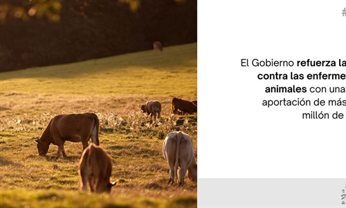 El Gobierno refuerza con 1,2 millones la lucha contra la dermatosis...