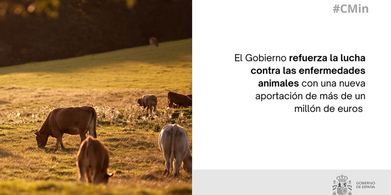 El Gobierno refuerza con 1,2 millones la lucha contra la dermatosis nodular contagiosa y la gripe aviar en Espaa