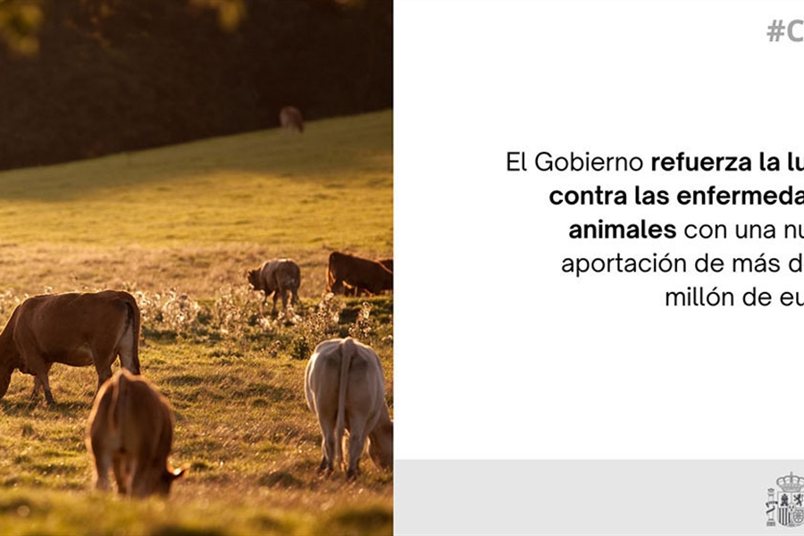 El Gobierno refuerza con 1,2 millones la lucha contra la dermatosis...