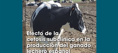 Efecto de la cetosis subclnica en la produccin del ganado lechero espaol
