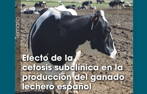 Efecto de la cetosis subcl�nica en la producci�n del ganado lechero espa�ol