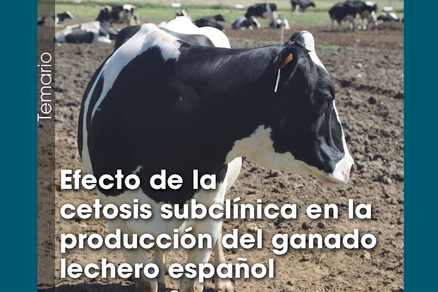 Efecto de la cetosis subclnica en la produccin del ganado lechero espaol