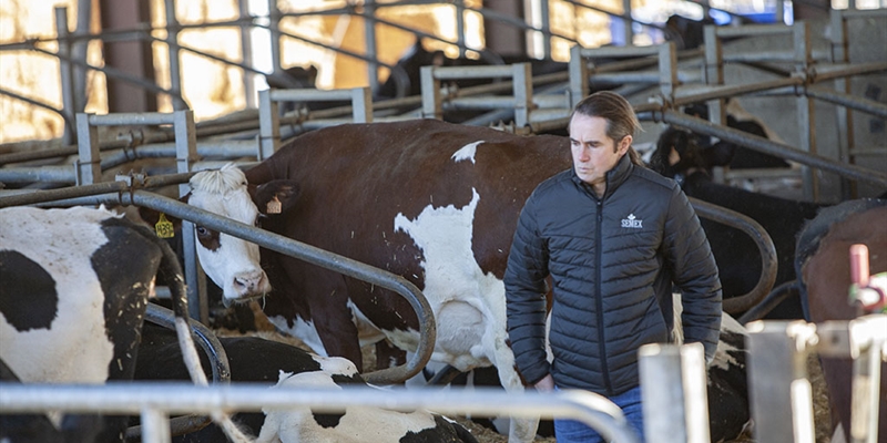 Villa Villera, produccin artesanal de lcteos desde el Alto Aragn