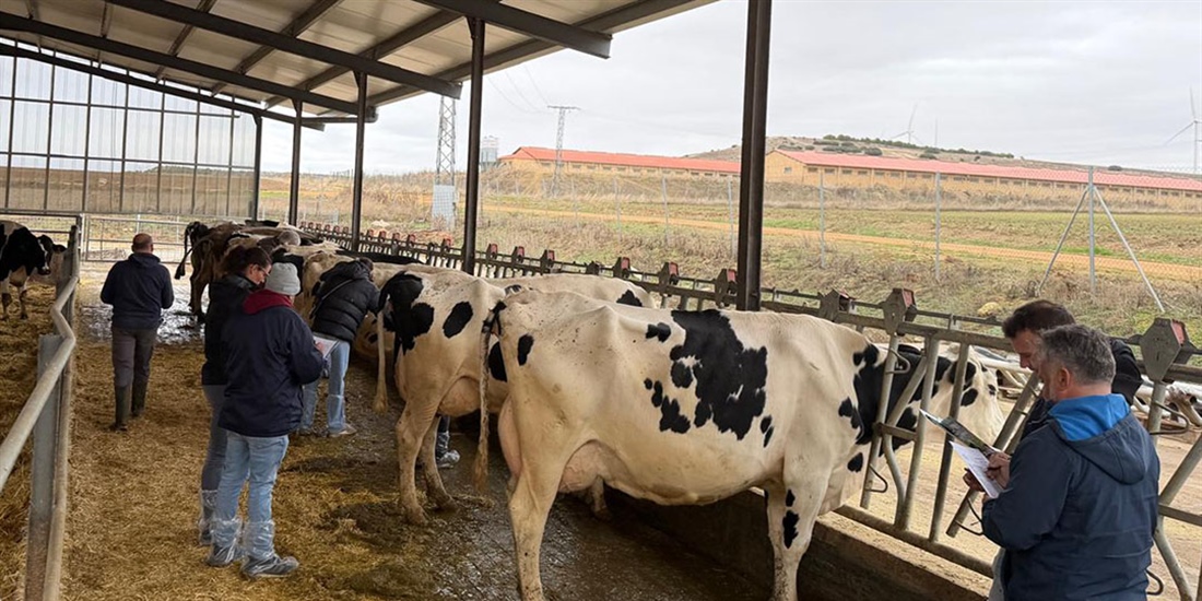 1� Taller CONAFE de Morfolog�a y Gen�tica de la raza Frisona