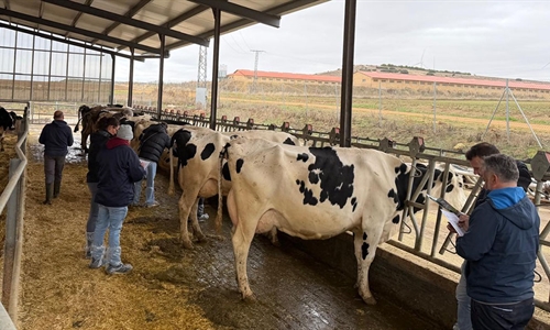 1 Taller CONAFE de Morfologa y Gentica de la raza Frisona