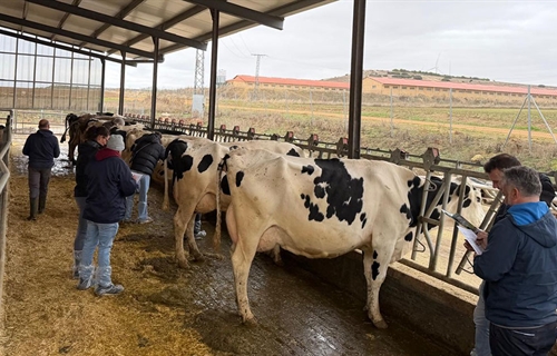 1 Taller CONAFE de Morfologa y Gentica de la raza Frisona