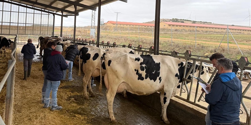 1 Taller CONAFE de Morfologa y Gentica de la raza Frisona