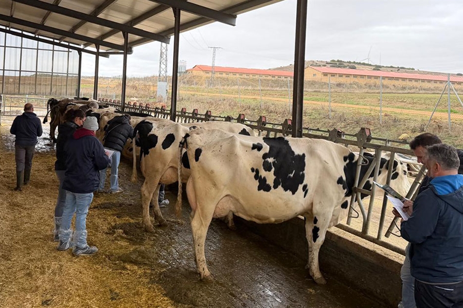 1� Taller CONAFE de Morfolog�a y Gen�tica de la raza Frisona