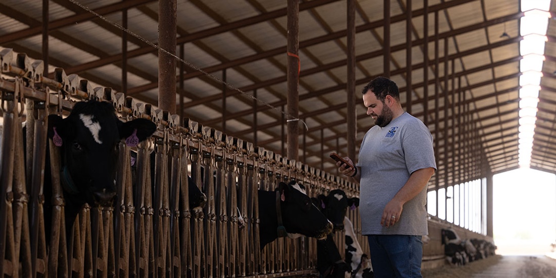 Nueva integraci�n entre UNIFORM-Agri y Nedap Now