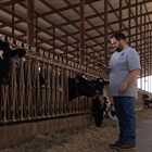 Nueva integraci�n entre UNIFORM-Agri y Nedap Now