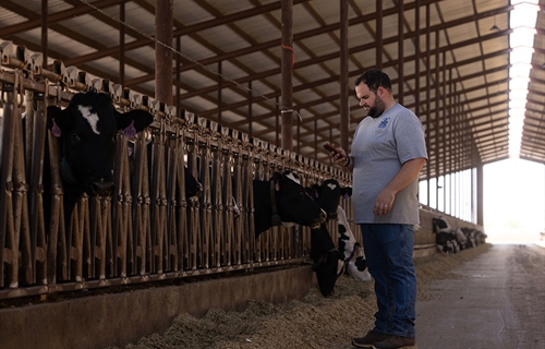 Nueva integraci�n entre UNIFORM-Agri y Nedap Now