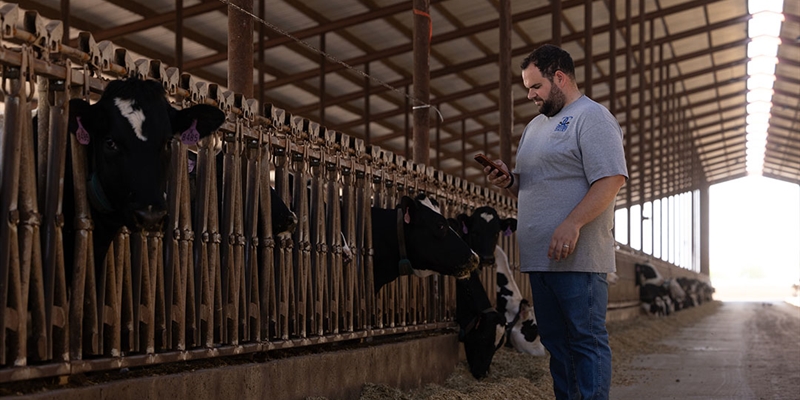 Nueva integraci�n entre UNIFORM-Agri y Nedap Now