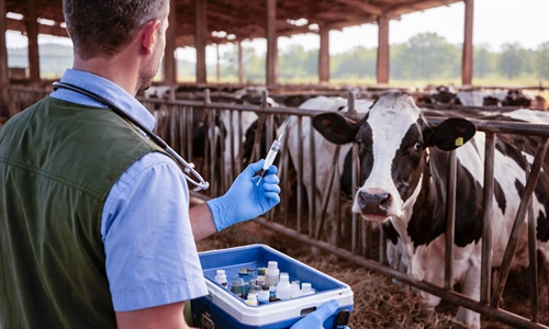 El Ministerio de Agricultura adquiere vacunas frente a la dermatosis...