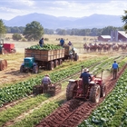El PIB agr�cola retrocede un 0,7 % en el tercer trimestre de este a�o