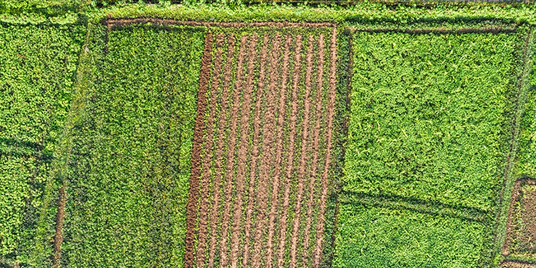 El Gobierno consolida el presupuesto de 315 millones de euros para...