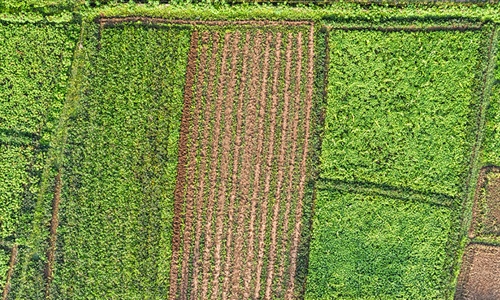 El Gobierno consolida el presupuesto de 315 millones de euros para...