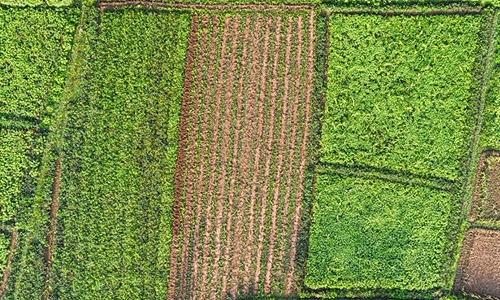 El Gobierno consolida el presupuesto de 315 millones de euros para...