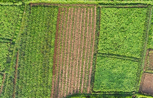 El Gobierno consolida el presupuesto de 315 millones de euros para...