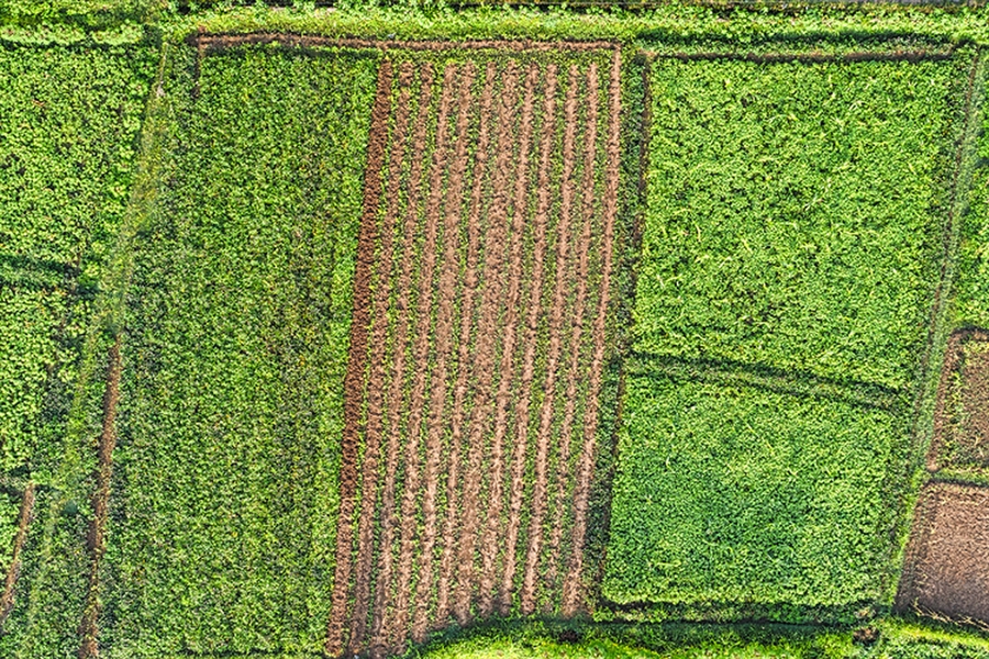 El Gobierno consolida el presupuesto de 315 millones de euros para...