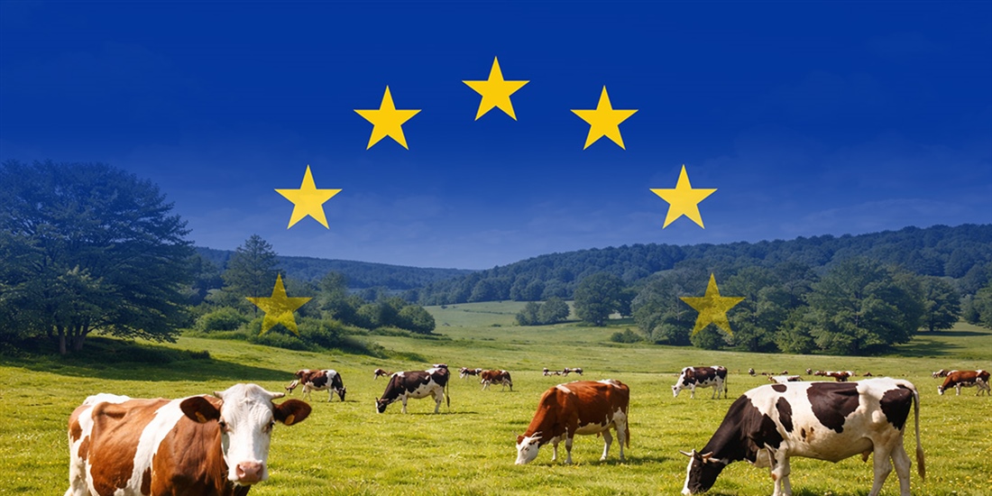 Las metas del semestre m�s all� de la PAC: bienestar animal, comercio y...