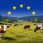 Las metas del semestre m�s all� de la PAC: bienestar animal, comercio y precios justos