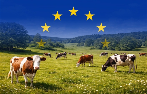 Las metas del semestre m�s all� de la PAC: bienestar animal, comercio y...